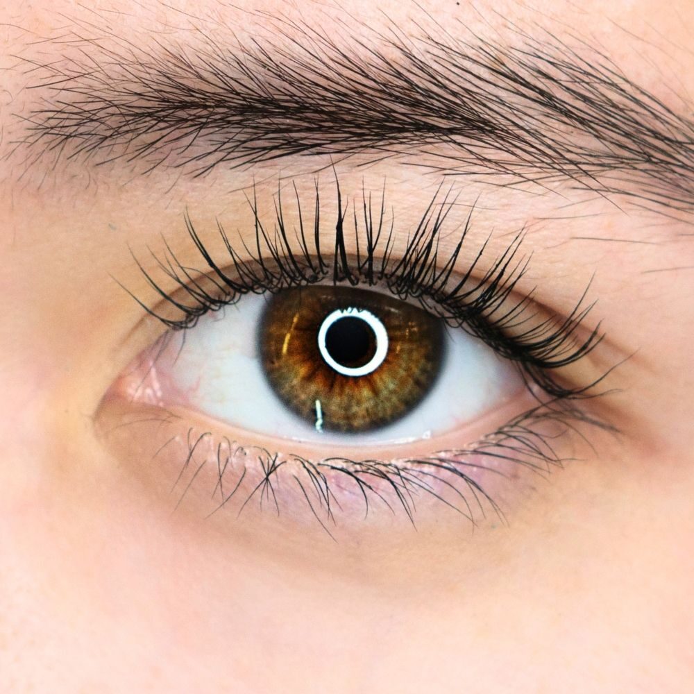 Eyelash Jogja Terdekat