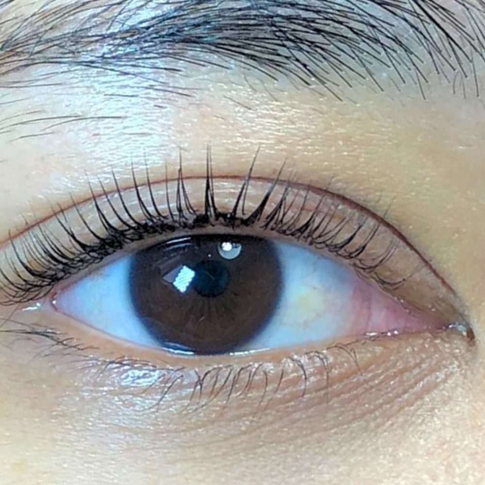 Eyelash Jogja Terdekat